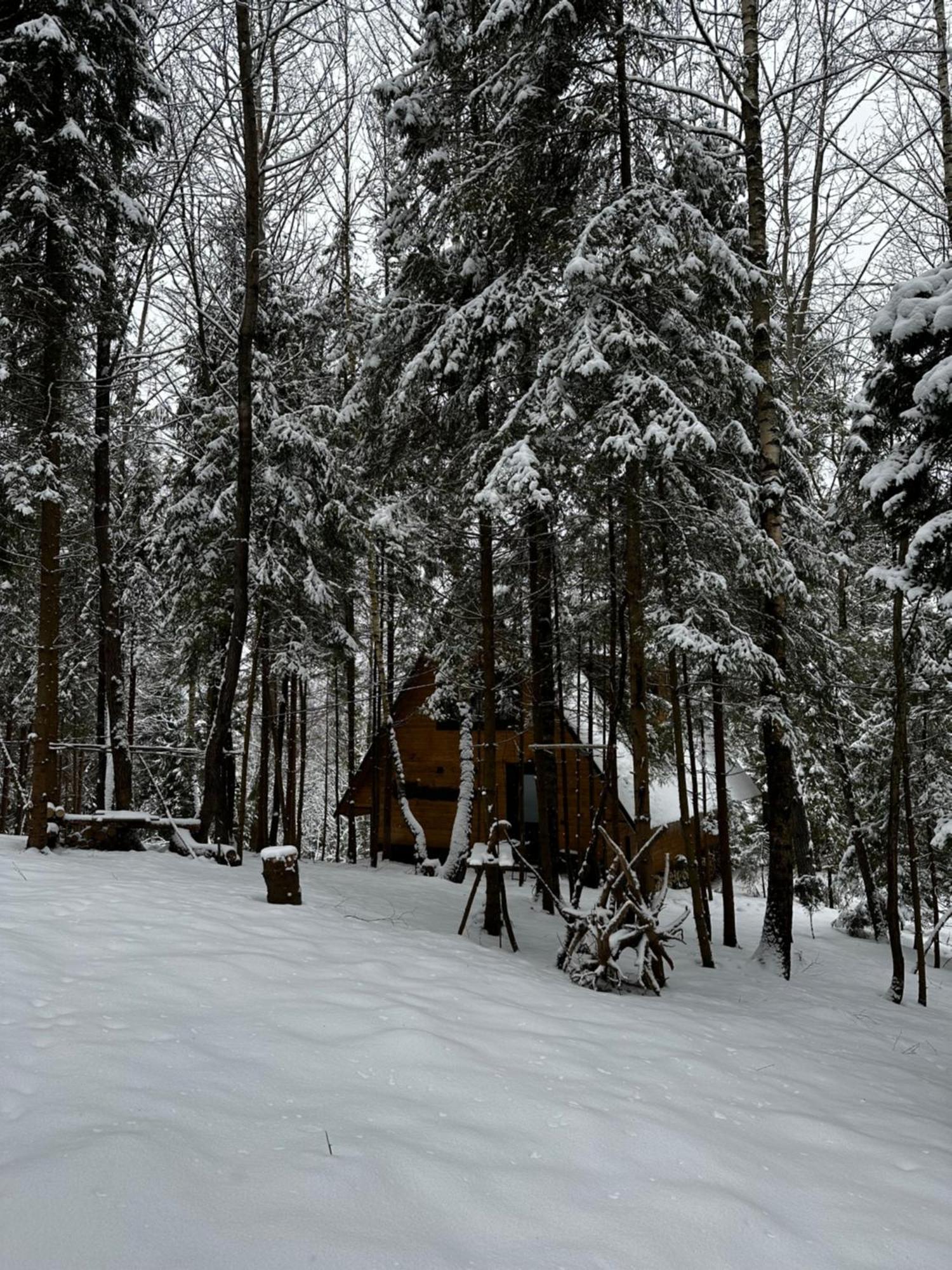 Oryavchik Country House Orawczyk Zewnętrze zdjęcie