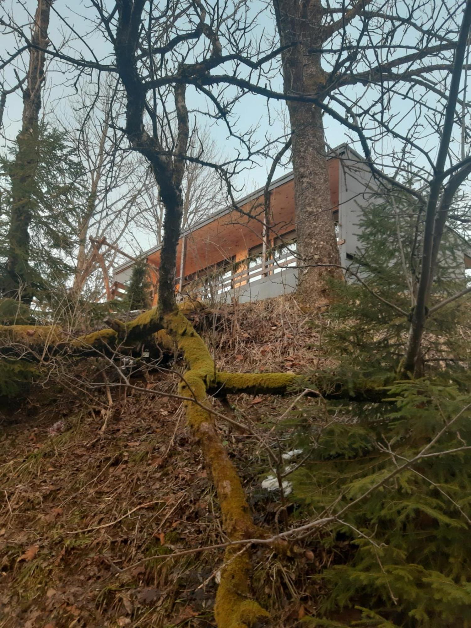 Oryavchik Country House Orawczyk Pokój zdjęcie