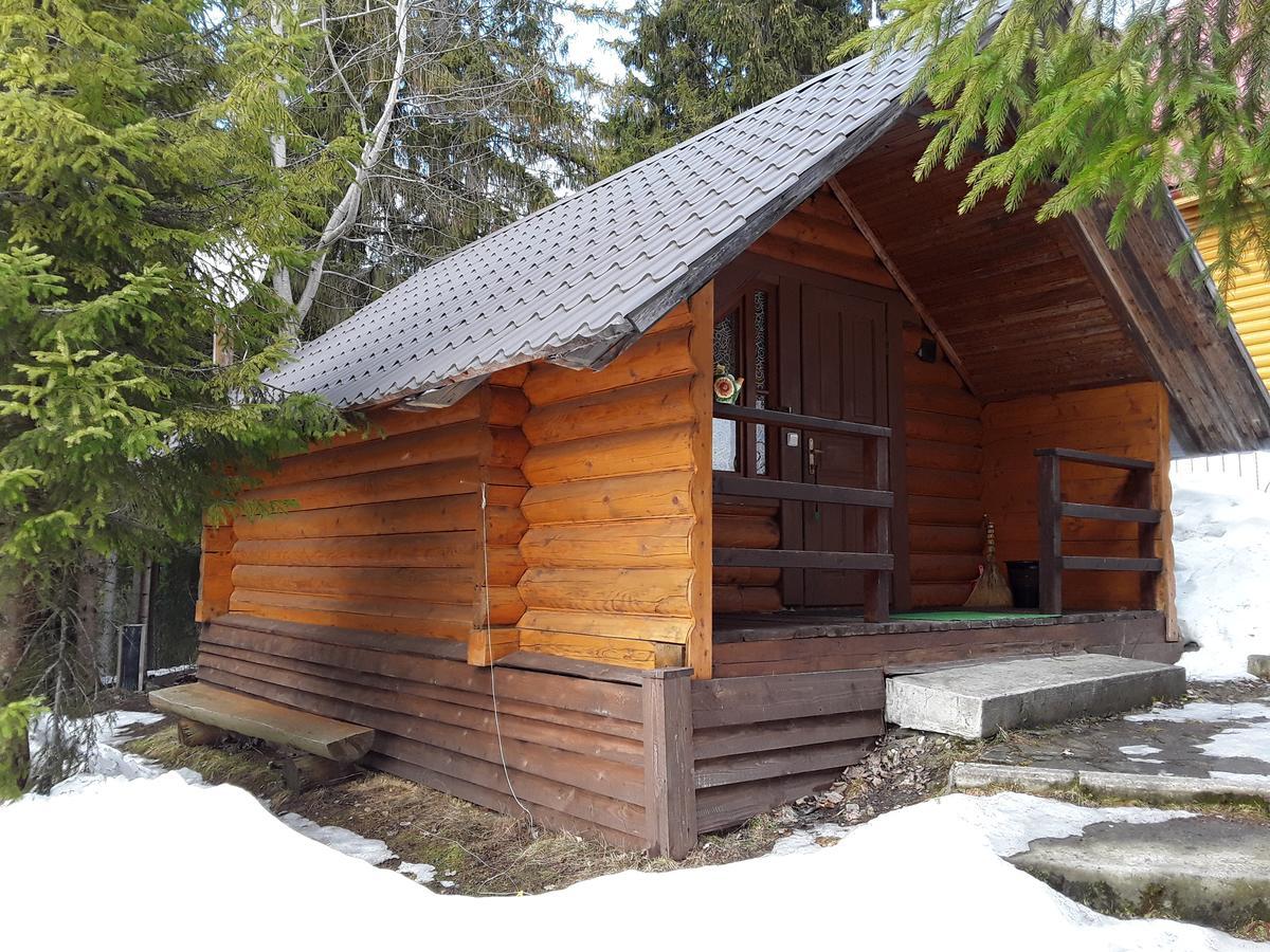 Oryavchik Country House Orawczyk Zewnętrze zdjęcie