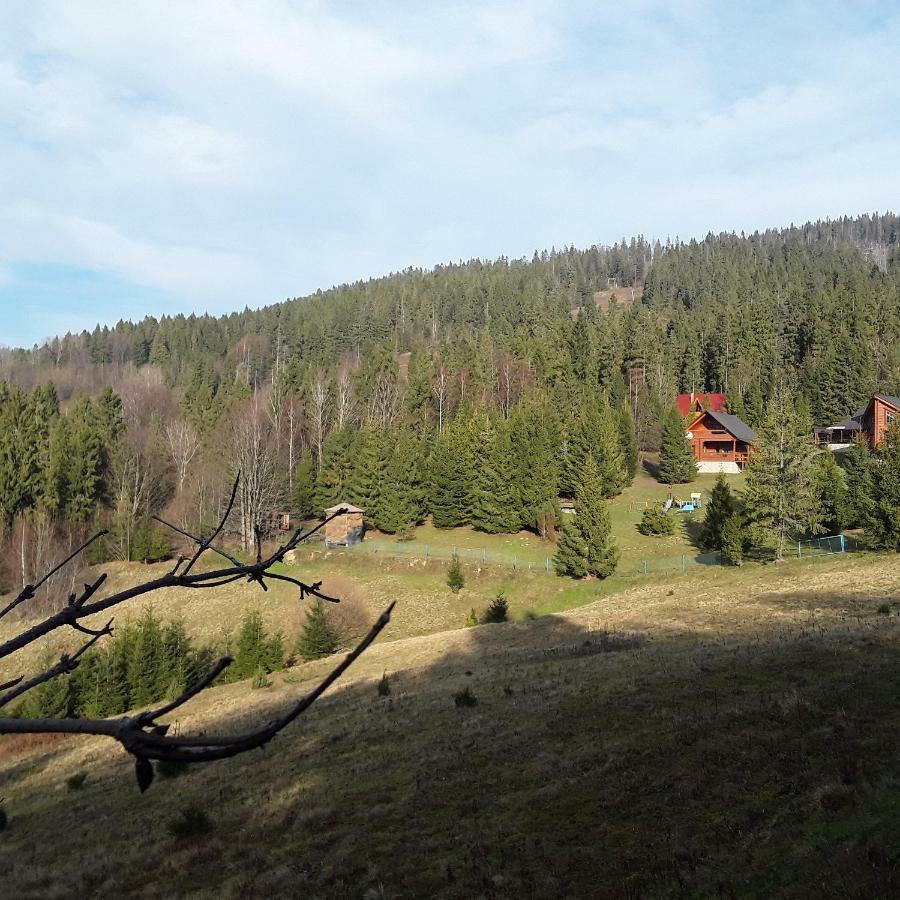 Oryavchik Country House Orawczyk Zewnętrze zdjęcie