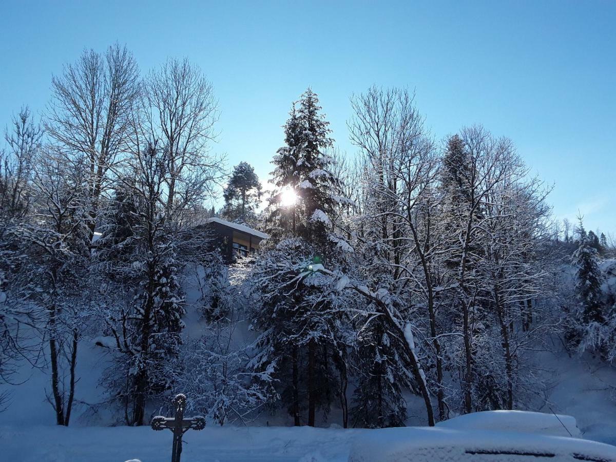 Oryavchik Country House Orawczyk Zewnętrze zdjęcie